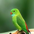 pexels roshan kamath 793618 1661179